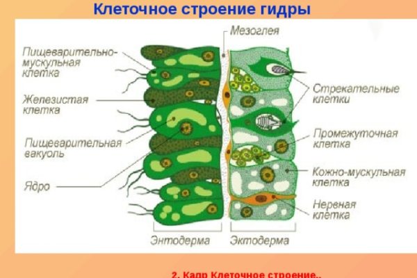 Кракен 16 даркнет продаж