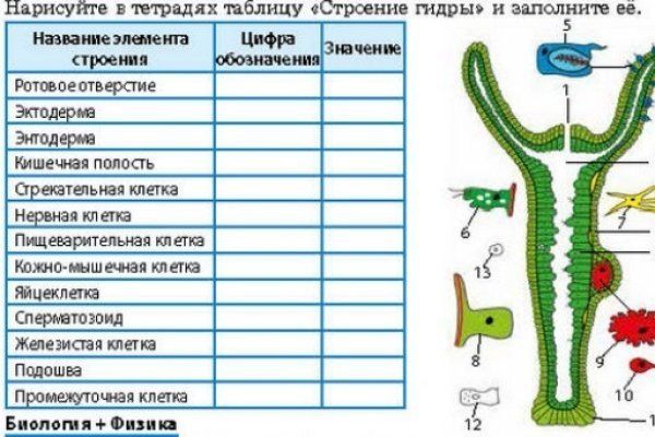 Почему сегодня не работает площадка кракен