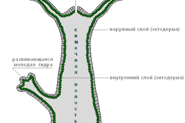 Полезные сайты тор